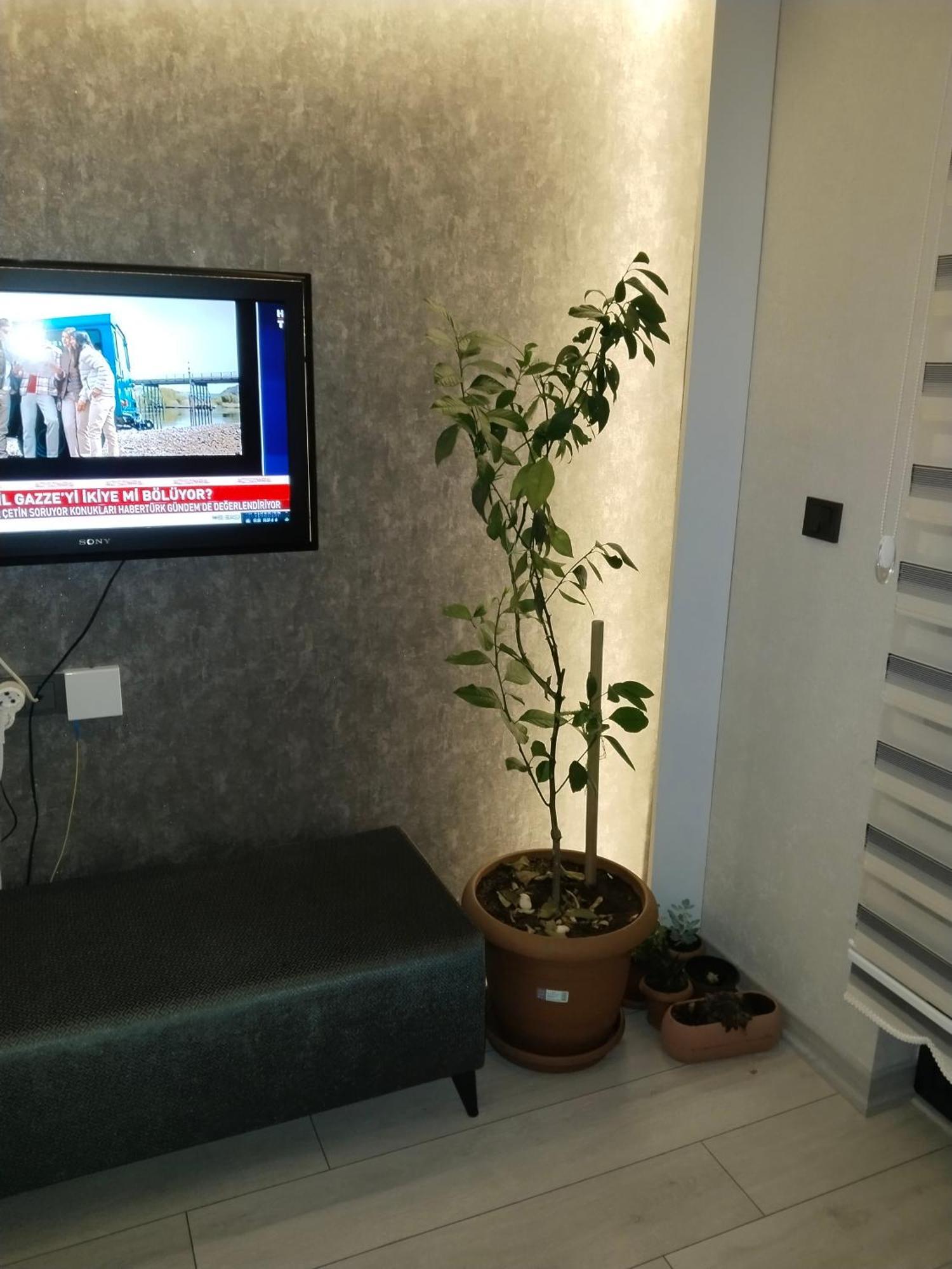 Ankara Esenboga Airport Luxury Rezidance Apart 外观 照片